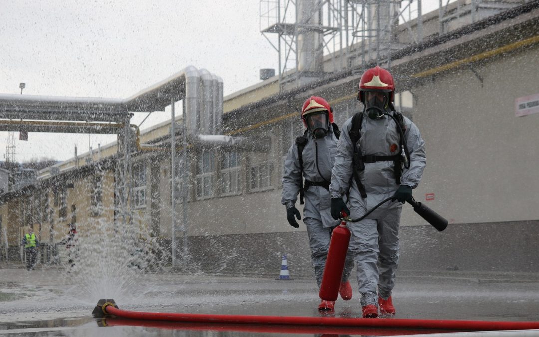 Dinas Damkar Salatiga Evakuasi Ular di Pelabuhan